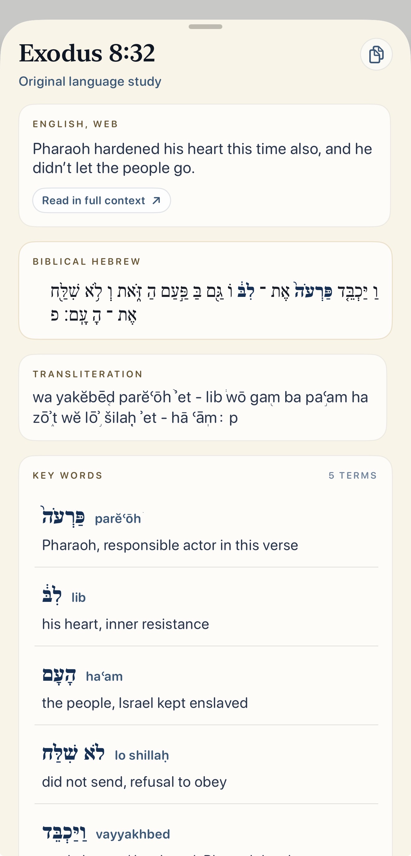 Scripture study screen